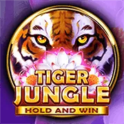 Cấp độ VIP Kim Cương mm99 win