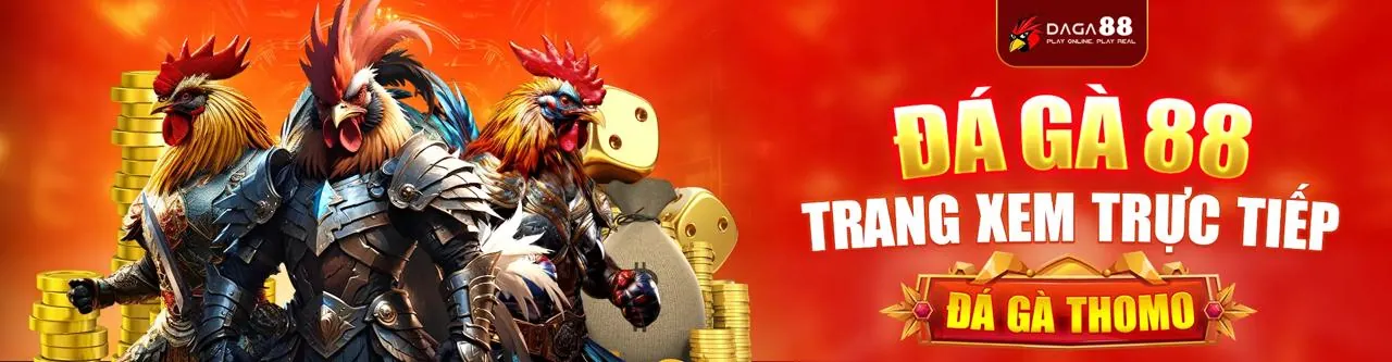 Hình ảnh đá gà đỉnh cao tại mm99 win