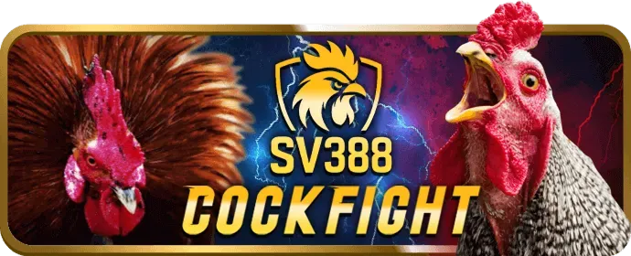 Hoàn trả cược mm99 win